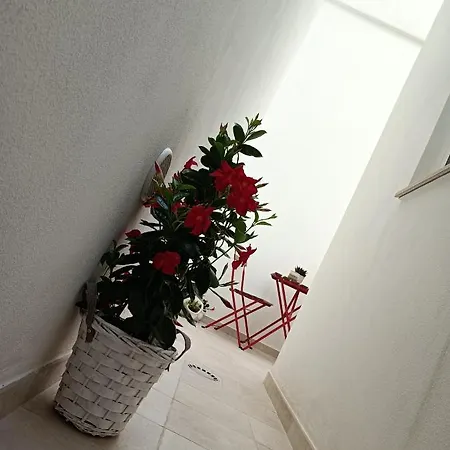 A Casa Di Fede Capurso